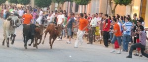 El encierro de vaquillas fue una de las actividades más destacadas de la segunda jornada festiva en la Ciudad de los Almirantes. ::
FOTOS L. SANCHO