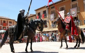Espectáculo de la Justa Medieval. ::
ANTONIO TANARRO