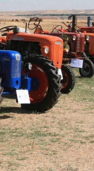 Más de cien tractores antiguos y otros aperos de labranza se exponen en la X Feria de Retromaquinaria
