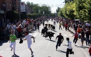 Varios corredores, delante de la manada durante el encierro celebrado ayer en Nava. ::
F. DE LA CALLE