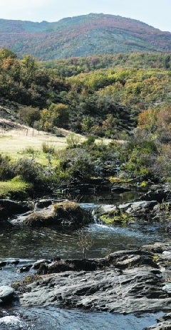 El río Lillas nace en la vertiente meridional de la Sierra de Ayllón.