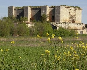 El castillo de Villalba de los Alcores, una fortaleza del siglo XII. ::                             GABRIEL VILLAMIL