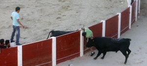 El joven en el momento de la cogida. ::
SARA GÓMEZ