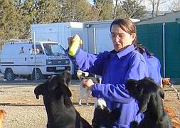 Una de las cuidadoras de la protectora juega con los perros del refugio :: EL NORTE