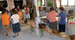 Exposición de manualidades hechas por mujeres de Aldealengua de Santa María. ::
M. RICO