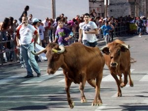 Suelta de vaquillas en una edición pasada de la fiesta. ::
M. RICO