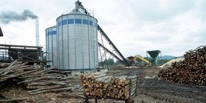 Imagen de una central de biomasa de producción eléctrica. ::
BRIGIDO