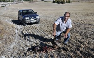 Jose Luis Rodríguez, junto a los restos del perro atacado. ::                             FRAN JIMÉNEZ