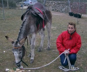 Uno de los encargados del refugio con un asno. ::
S. G. R.