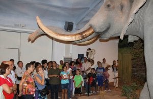 Los baltanasiegos contemplan algunos ejemplares de la fauna africana. ::
LUIS ANTONIO CURIEL