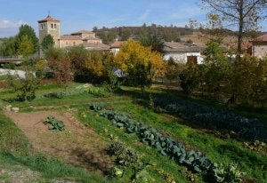 Una parada en los molinos
