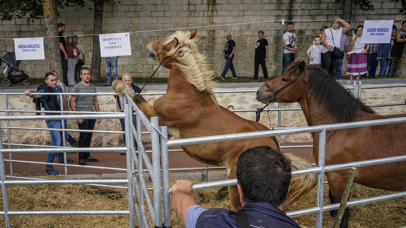 Las imágenes de la feria de Agurain