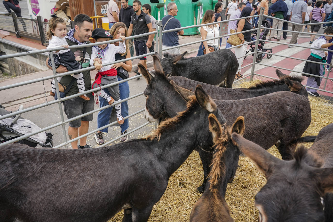 Las imágenes de la feria de Agurain