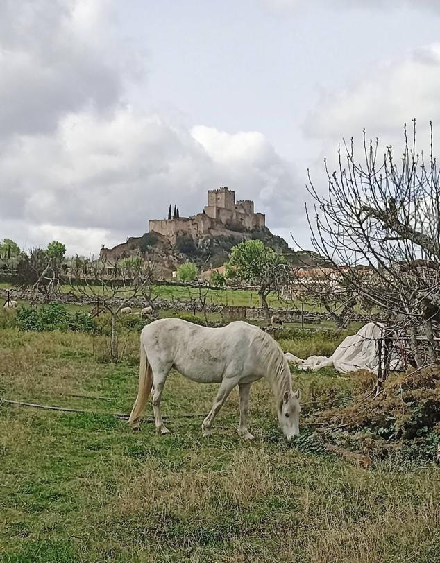 Escena bucólica del castillo