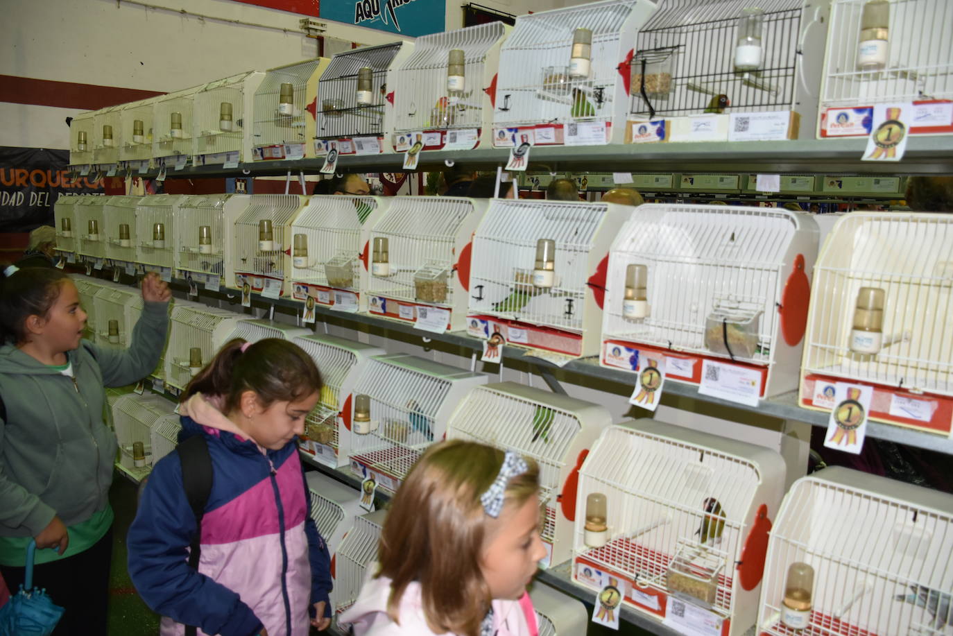 V Internacional de Ornitología 'Ciudad de Alburquerque'