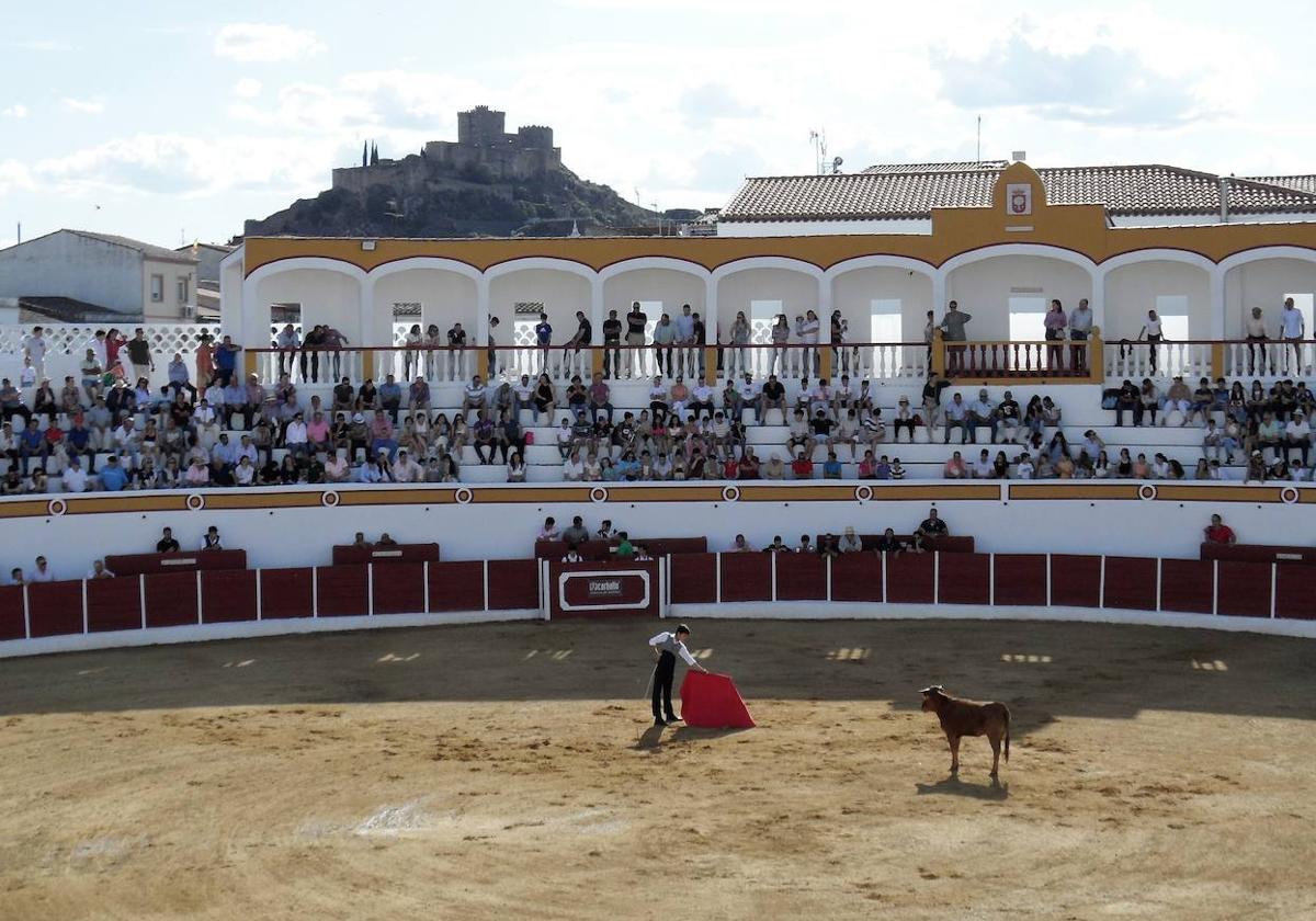 Tarde de tentadero con el Bolsín Taurino 'Villa de Alburquerque'