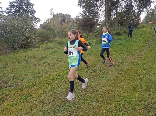 Carrera de la Fexme