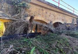 Estado actual del puente viejo de Carrión