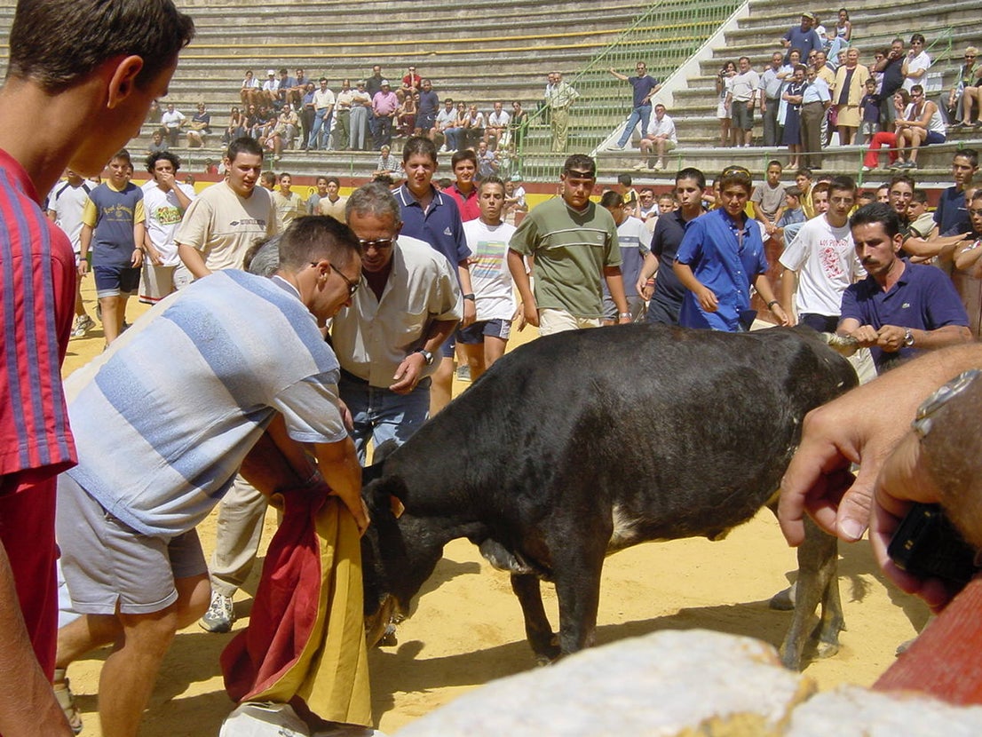 Fotos: Las fiestas de la Piedad siguen siendo referencia para los almendralejenses