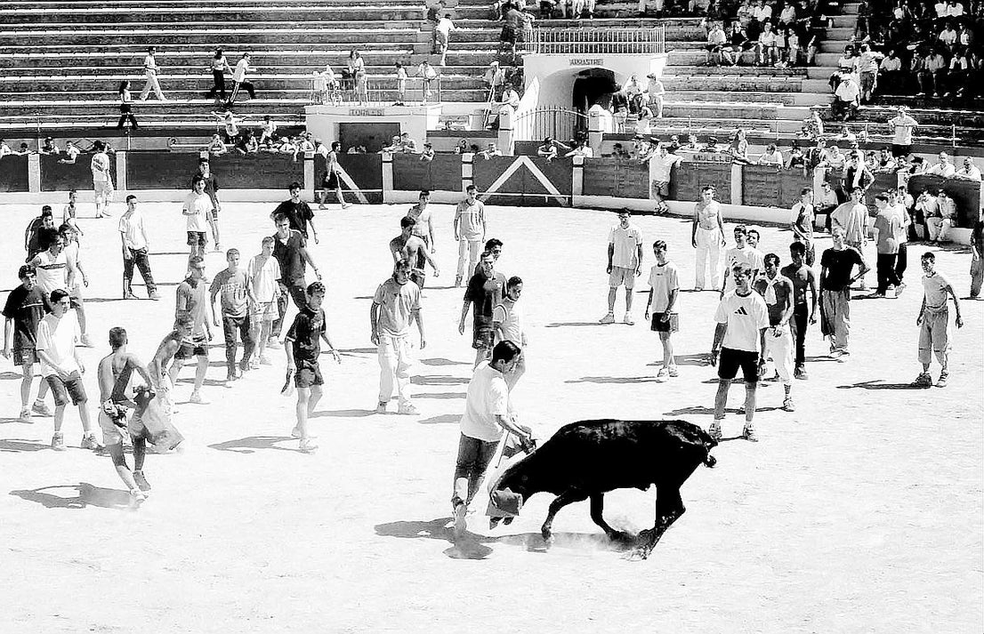 Fotos: Las fiestas de la Piedad siguen siendo referencia para los almendralejenses