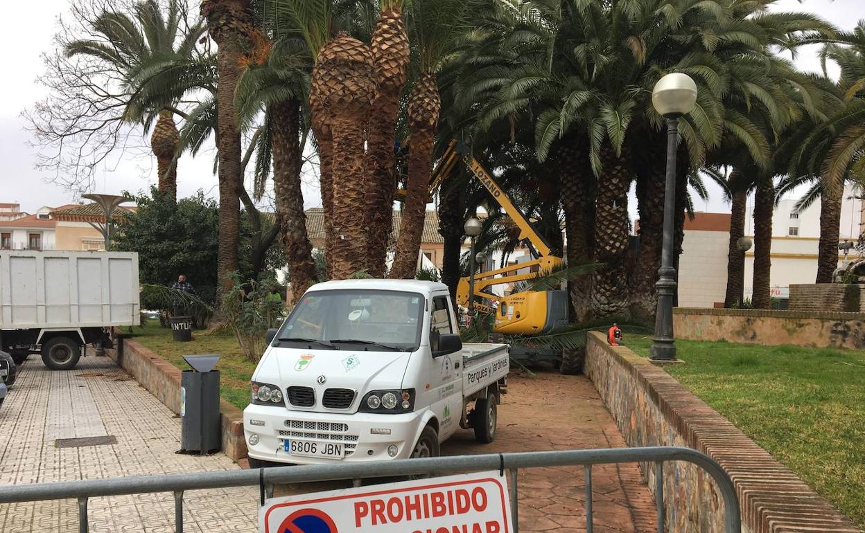 La furgoneta incendiada es la que muestra la fotografía. 