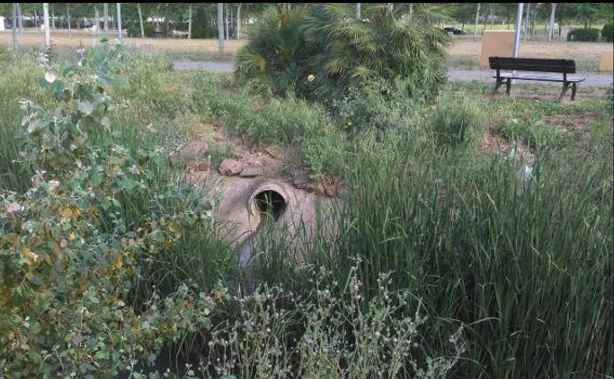 Arroyo Las Picadas a su paso por el ferial. 