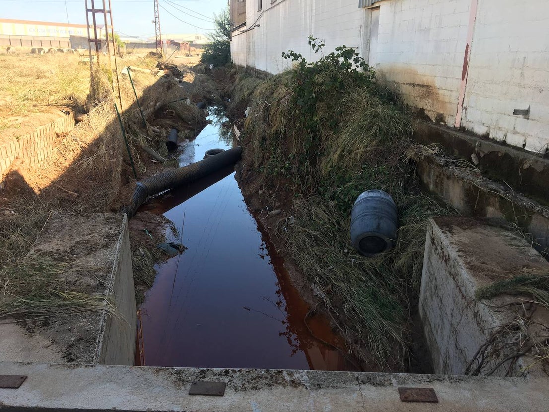 Muchos caminos han quedado afectados por las riadas.