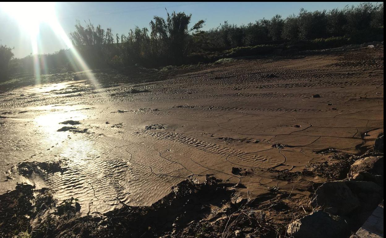 La CHG licitará un estudio para buscar soluciones a las riadas en Almendralejo
