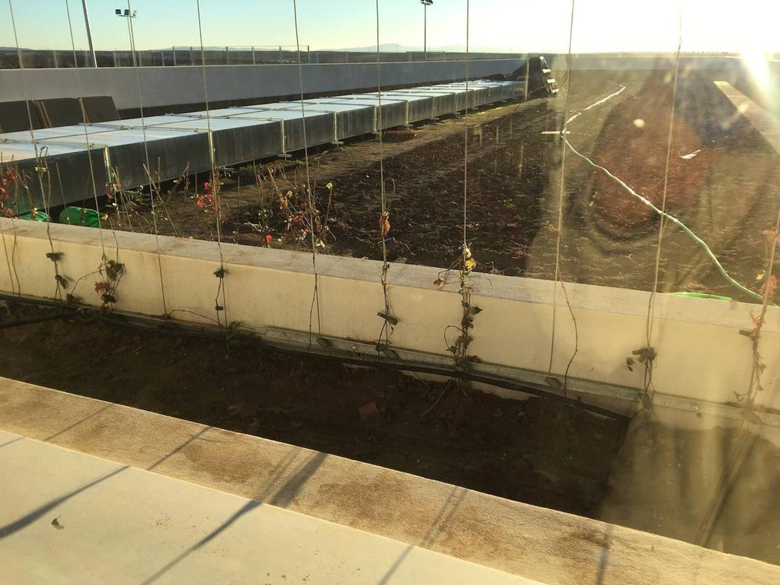 Los padres y madres de alumnos han visitado este viernes el nuevo colegio Ortega y Gasset. 