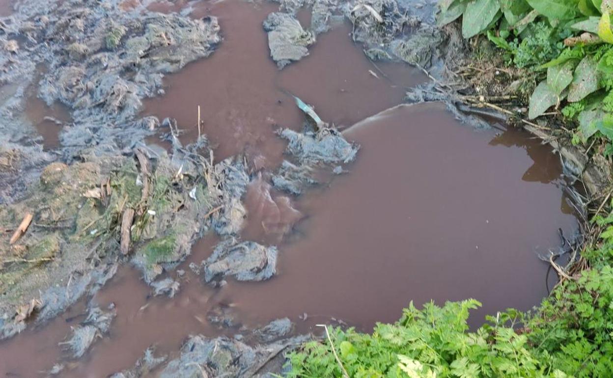 Vertidos de aguas residuales echadas a la superficie. 