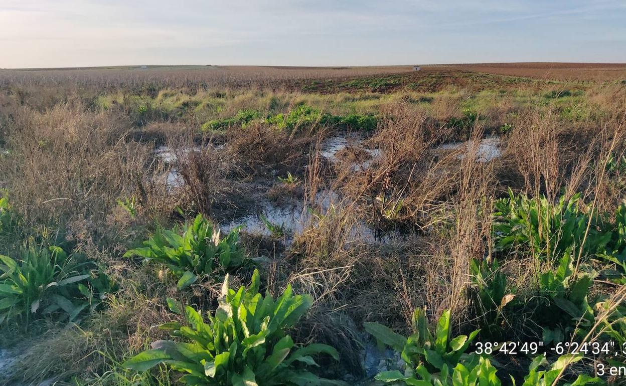 Zona donde se ha producido el vertido de aguas residuales. 