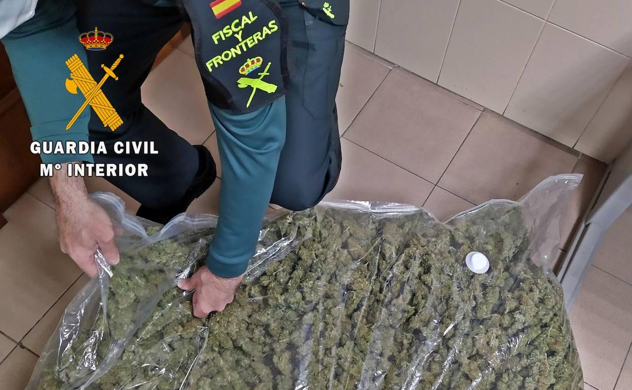 Cogollos de marihuana interceptados en un control de drogas. 