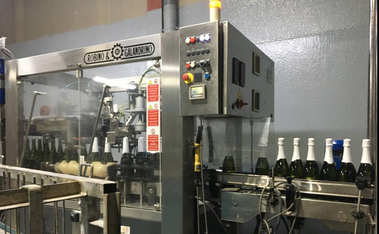 La justicia falla a favor de no limitar la superficie de viñedos para producir cava en la ciudad