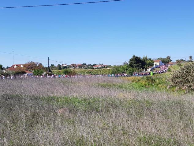 Este año la romería de San Marcos ha reunido a miles de personas en el camino a la ermita. 
