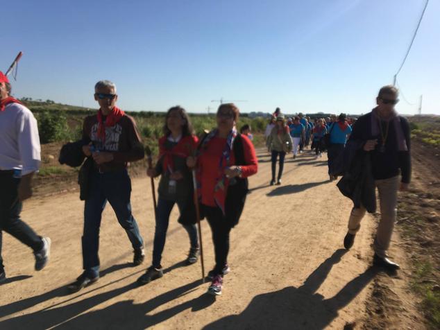 Este año la romería de San Marcos ha reunido a miles de personas en el camino a la ermita. 