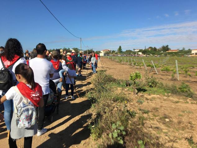 Este año la romería de San Marcos ha reunido a miles de personas en el camino a la ermita. 