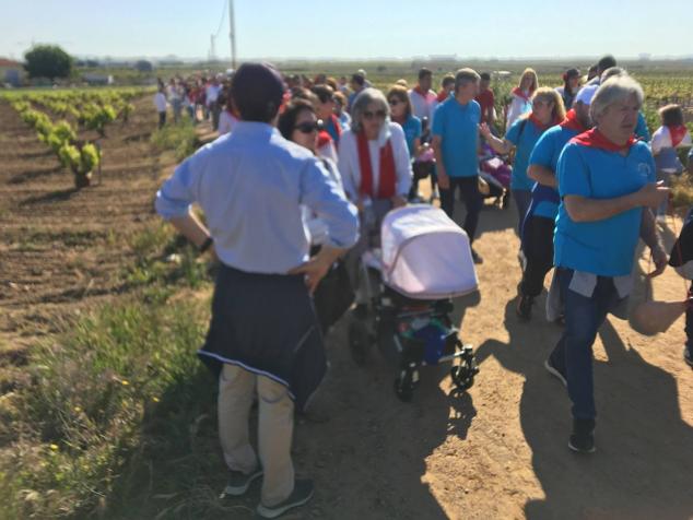 Este año la romería de San Marcos ha reunido a miles de personas en el camino a la ermita. 