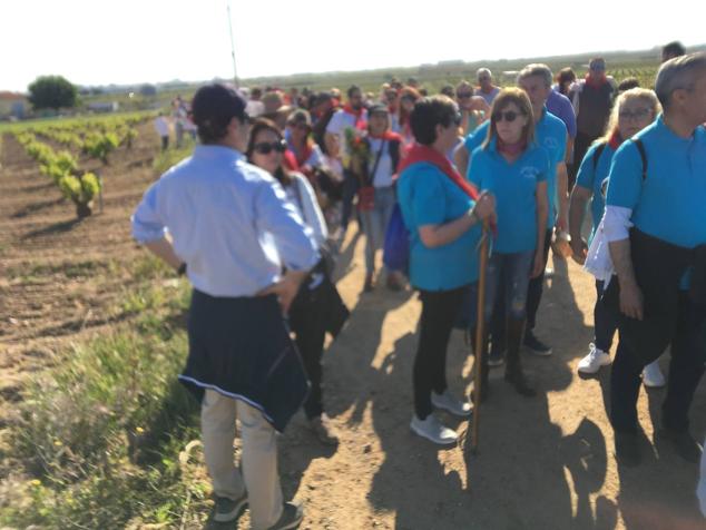 Este año la romería de San Marcos ha reunido a miles de personas en el camino a la ermita. 