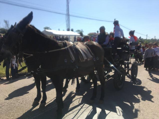 Este año la romería de San Marcos ha reunido a miles de personas en el camino a la ermita. 