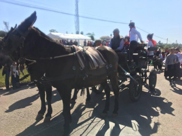 Este año la romería de San Marcos ha reunido a miles de personas en el camino a la ermita. 