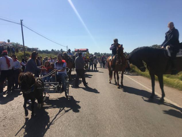 Este año la romería de San Marcos ha reunido a miles de personas en el camino a la ermita. 
