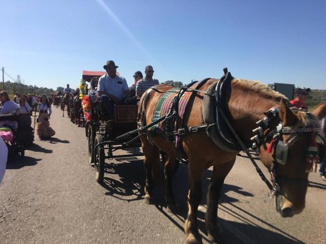 Este año la romería de San Marcos ha reunido a miles de personas en el camino a la ermita. 
