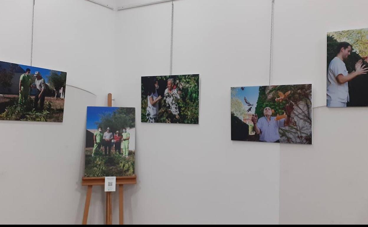 Una exposición fotográfica pretende sensibilizar sobre la enfermedad del Alzhéimer