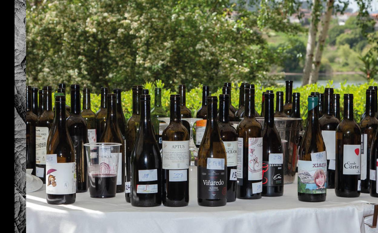 Ribera del Guadiana es la DO más premiada en el concurso de vinos Vinespaña 2022