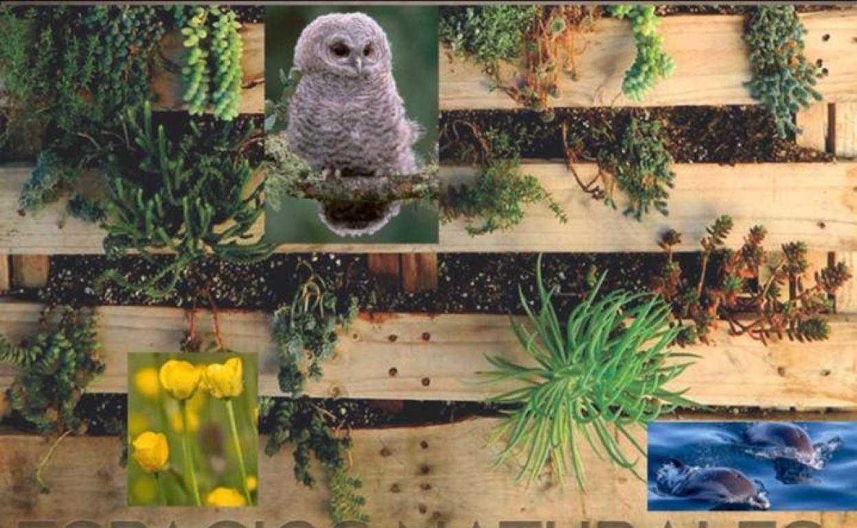 El Ministerio de Defensa trae a Almendralejo una exposición sobre Espacios Naturales