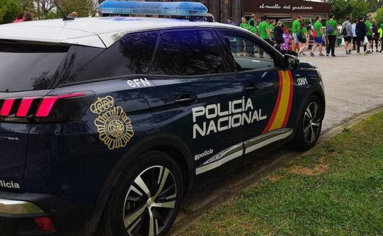 Tres detenidos por robar 700 euros y un cachorro a un hombre en su vivienda de Almendralejo