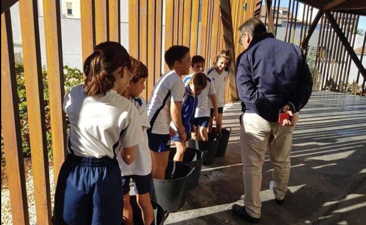 Alumnos de una decena de colegios participan en la vendimia didáctica del Museo del Vino