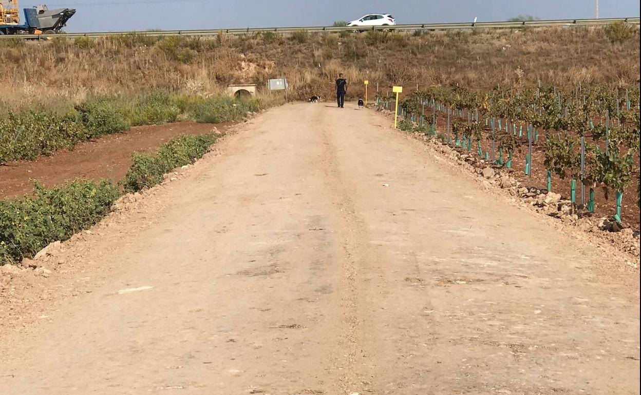 Comienza el arreglo de caminos por el de Villafranca y el Charnecal