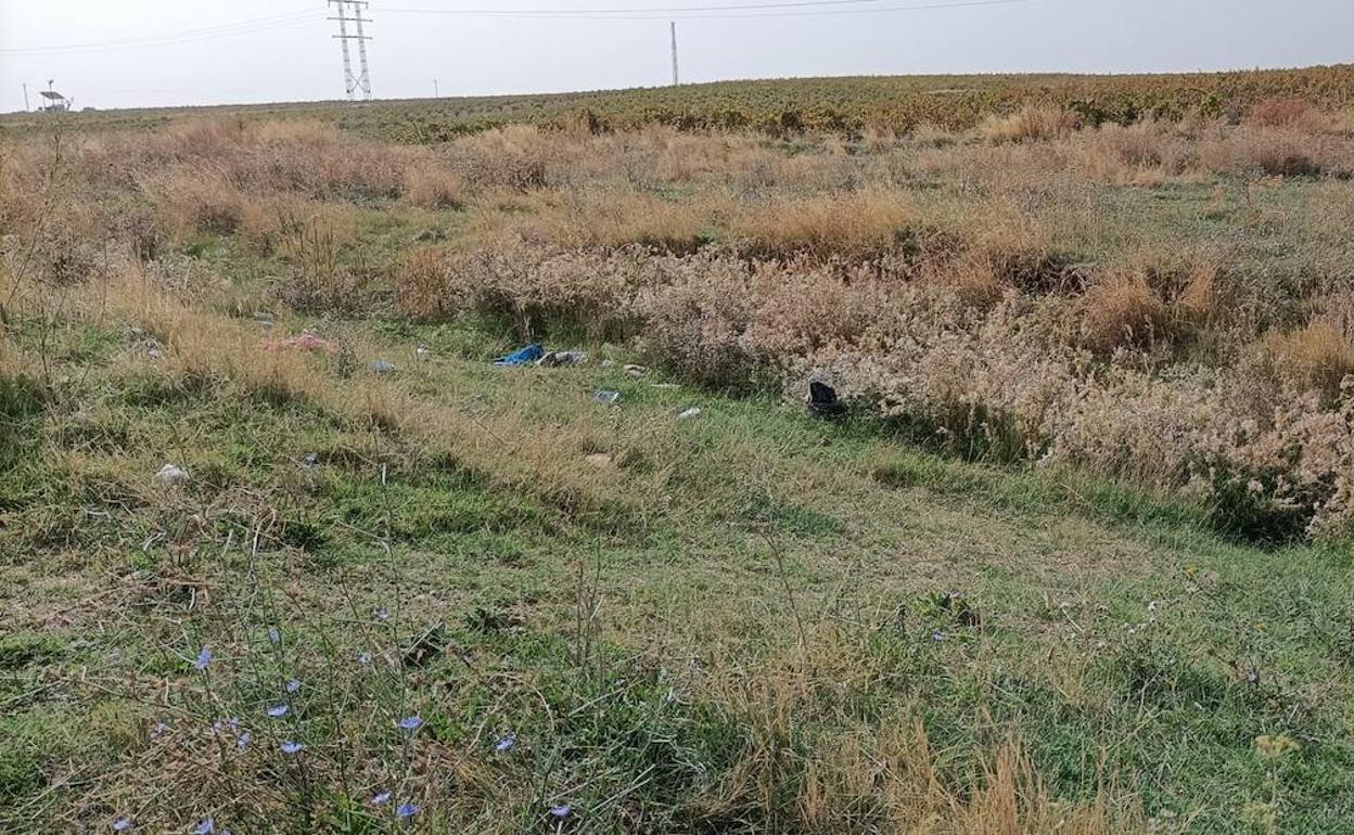 Canal de la Alberca Vieja antes de la limpieza del servicio municipal. 