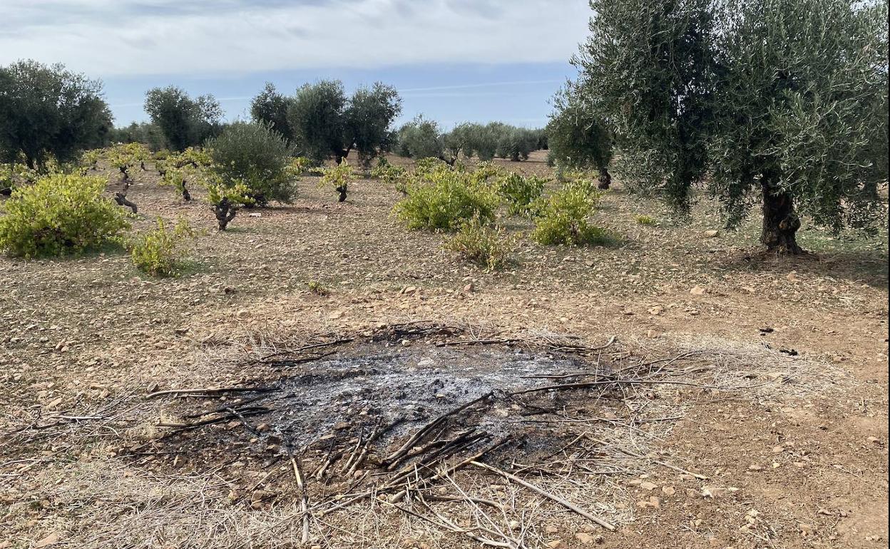 Este otoño se están realizando también las quemas de rastrojos en el campo. 